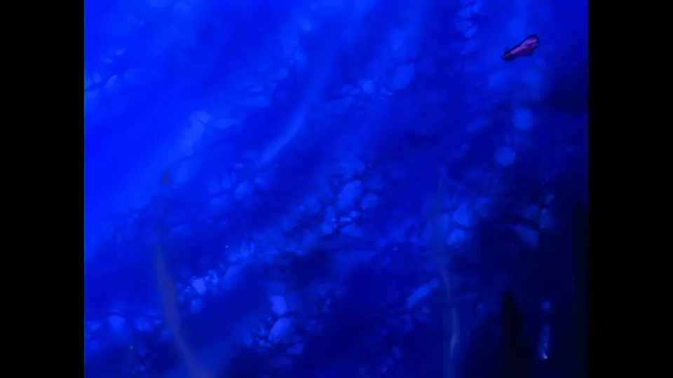 Deep blue murk. The backgrounds in this film do a lot of the atmosphere work.